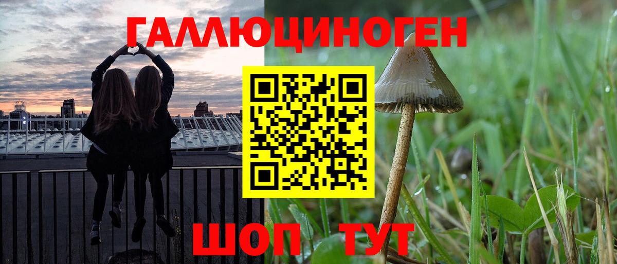 Галлюциногенные грибы Cubensis  Вход с VPN  Усть-Кут  Псилоцибиновые грибы MAGIC MUSHROOMS 
